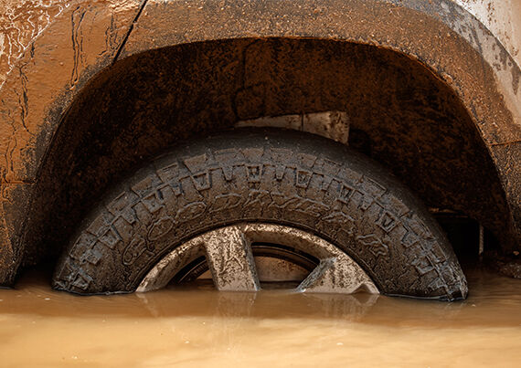 ДОЛГОВЕЧНОСТЬ